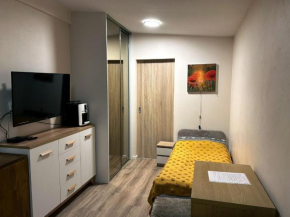Nowoczesne Studio z ogrodem i parkingiem